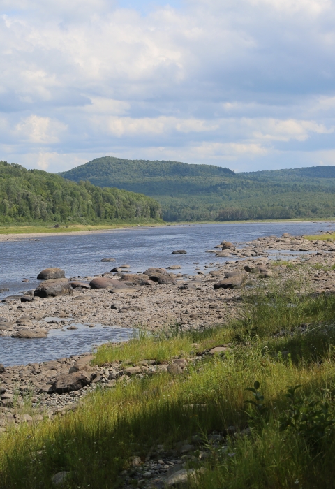 a landscape of a river and mountains