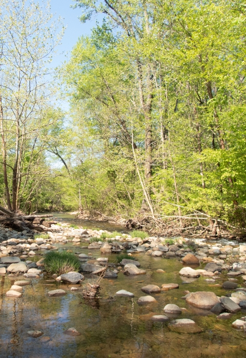 Conasauga River