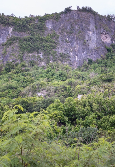 The mountains that outline Guam National Wildlife Refuge.