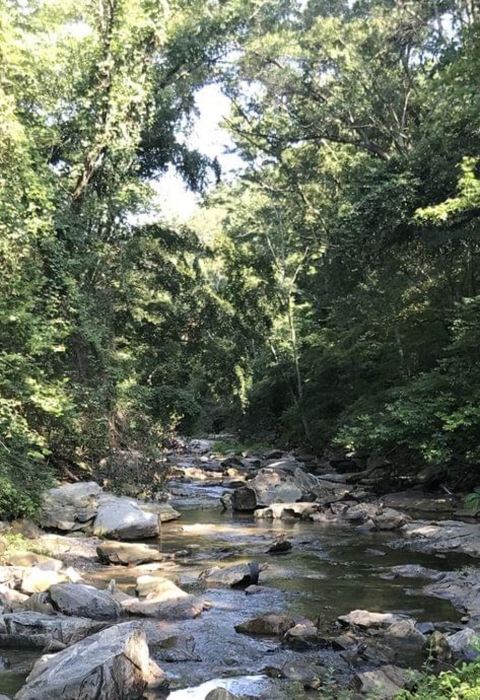 Forested stream with rocks along the banks