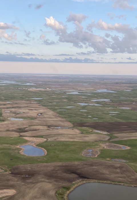 View from an airplane of wetlands on the landscape