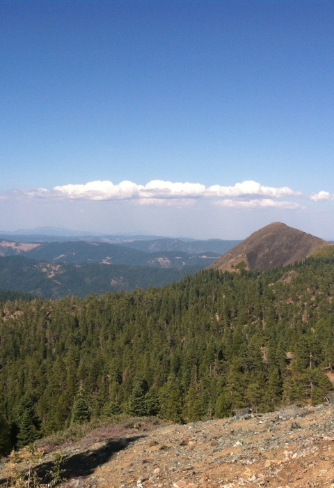 Landscape view of mountains covered in pine trees and below blue skies