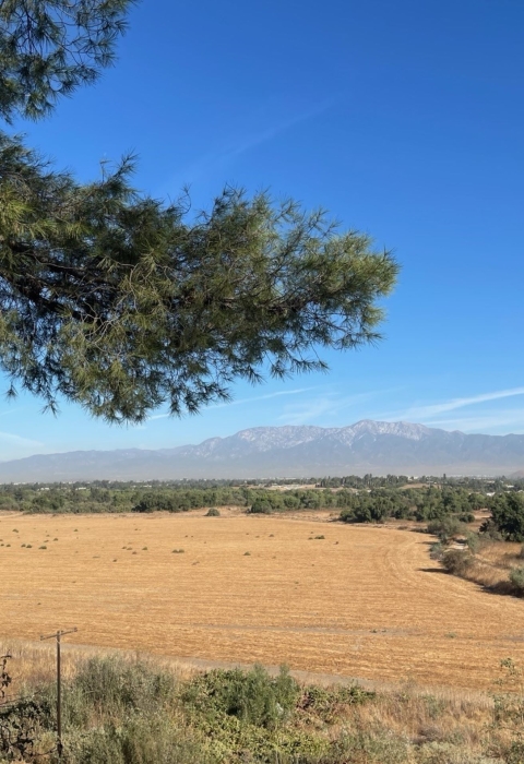 Looking down at grassland and a riparian area with a mountain in the background