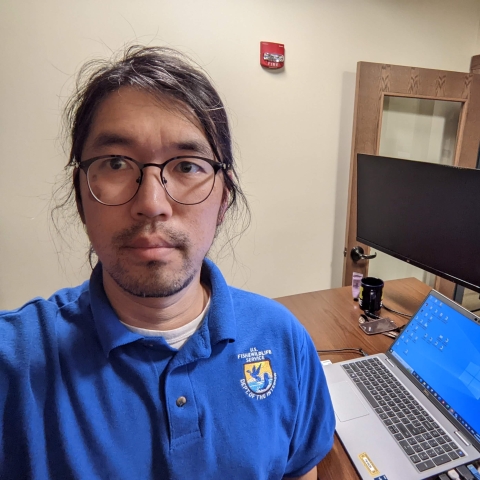 Fws staff at desk