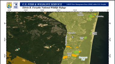 Edwin B. Forsythe NWR Lands Open to Hunting within NJDFW DMZ Zones
