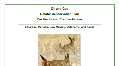 a screenshot of a document
