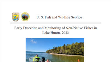 report cover
