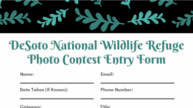 DeSoto Photo Contest Entry Form 