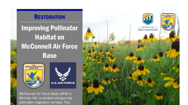 Improving Pollinator Habitat on McConnell AFB Handout