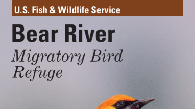 Bear River Migratory Bird Refuge General Brochure