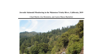 Juvenile Salmonid Monitoring in the Mainstem Trinity River, California, 2019