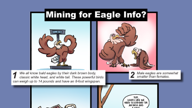 Mining for Eagle Info