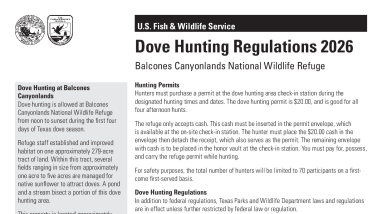 Balcones Canyonlands NWR Dove Hunt 2026
