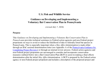 Bat Conservation Plan Guidance for Pennsylvania July 7 2026