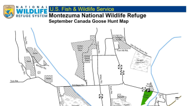 Early Canada Goose Hunting Regulations/Montezuma NWR 2026