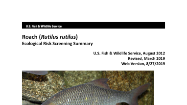 Ecological Risk Screening Summary - Roach (Rutilus rutilus) - High Risk