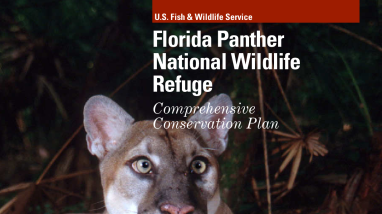 Florida Panther National Wildlife Refuge Comprehensive Conservation Plan