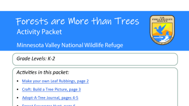 Forests are More than Trees Distance Learning Packet (grades K-2)