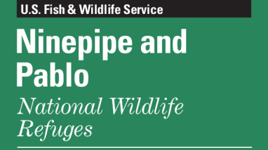 Ninepipe and Pablo National Wildlife Refuge Public Use