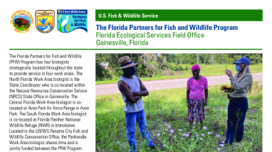 Florida Partners Program Strategic Plan - 2022