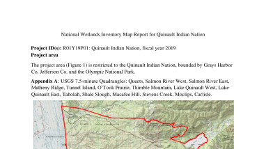 National Wetlands Inventory Mapping Report - R09Y19P01