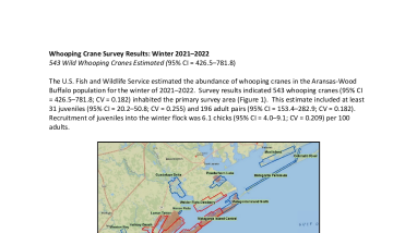Whooping Crane Update Winter 2021-2022