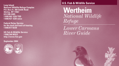 Lower Carmans River Guide.pdf