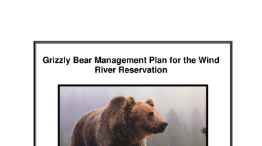 Wind River Reservation Grizzly Bear Plan