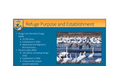  Presentation Transcript for Pocosin Lakes NWR Draft Water Management Plan Virtual Meeting 