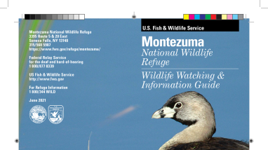montezuma-wildlife-watching-info-guide-2021.pdf