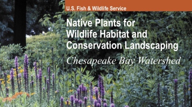 Native Plants for Wildlife Habitat and Conservation Landscaping in the Chesapeake Bay Watershed