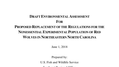 Draft Environmental Assessment Proposed Replacement of the Regulation for the Nonessential Experimental Population of Red Wolves in Northeastern North Carolina