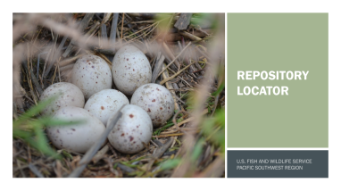 Repository Locator