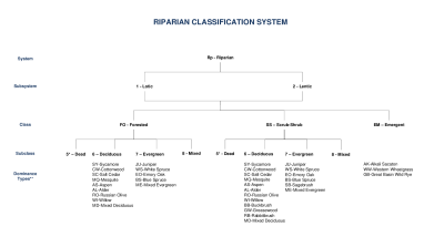 Riparian Classification System