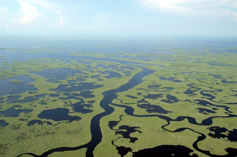 Aerial view of Lane River flowing across Everglades National Park, surrounding by several smaller bodies of water.