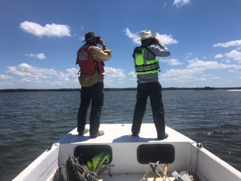 Refuge staff conducting monitoring surveys.