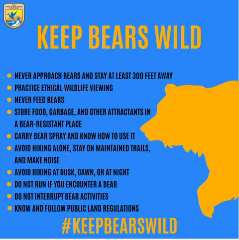 Keep bears wild. Never approach bear and stay at least 300 feet away. Practice ethical wildlife viewing. Never feed bears. Store food, garbage, and other attractants in a bear-resistant place. Carry bear spray and know how to use it. Avoid hiking alone, stay on maintained trails, and make noise. Avoid hiking at dusk, dawn, or at night. Do not run if you encounter a bear. Do not interrupt bear activities. Know and follow public land regulations.