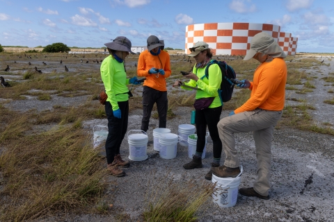Members of the Seabird Protection Project monitor their GPS units for baiting areas. 