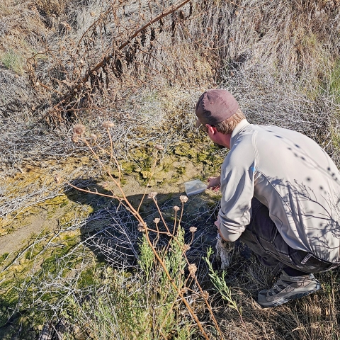 A biologist squats next to a shallow stream bed, releasing a plastic bag onto the water surface.