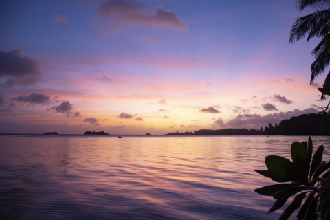 The sun sets over the horizon over the Pacific Ocean on Palmyra. The sky is layered in purple, orange, and yellow. 