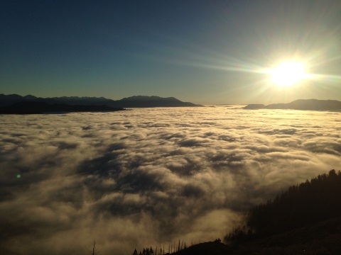 Photo of a foggy morning in the Trinity River Valley.
