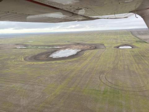 aerial view of wetlands on the landscape