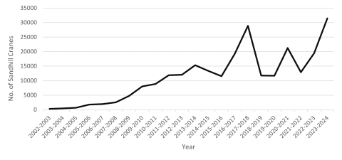Sandhill crane abundance on Wheeler NWR from 2002-2024. Abundance estimates are derived from biweekly ground-based surveys conducted by refuge staff and volunteers.
