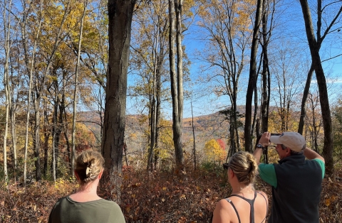 three people with their backs to the camera view mountains through trees with fall colors