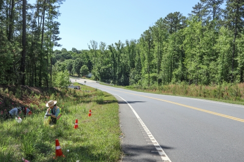 Three people sitting or kneeling in low brush beside a road