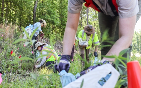 Group of people in low brush, their attention to the ground, some digging, some holding bags