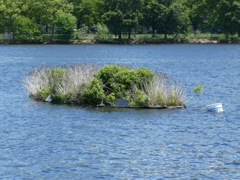A floating wetland in a river