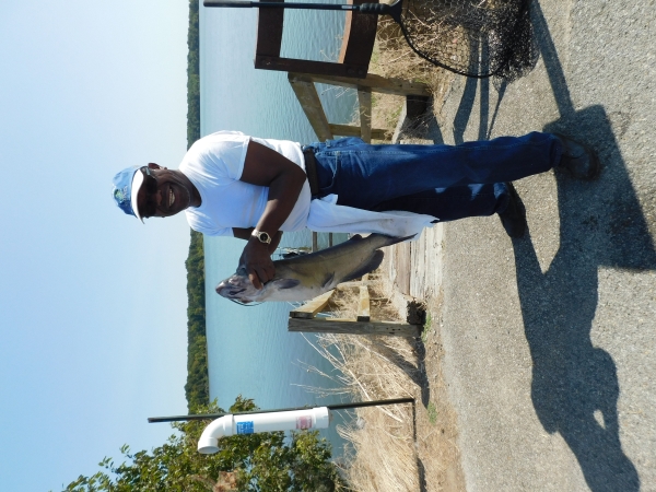 A smiling man in a baseball cap, t-shirt and jeans, stands in front of a wooden staircase that leads down to a lake while holding a large catfish. A fishing line recylcing container and net are behind the man. 