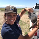 Staff measures a dove wing as part of mourning dove banding
