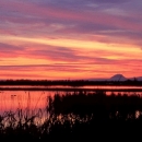 A cloudy, orange sky at dawn over a marsh, with mountains barely visible on the distant horizon